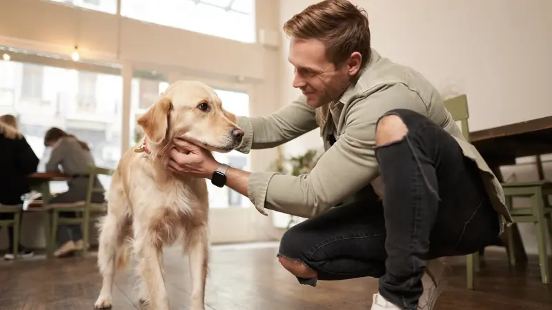 How to Train a Service Dog for Anxiety