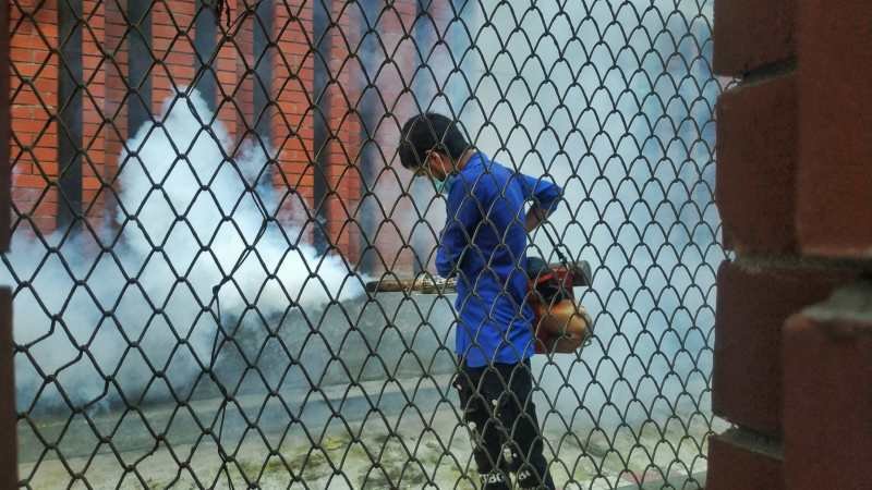 Top Warning Signs Your Home May  Need Professional Attention