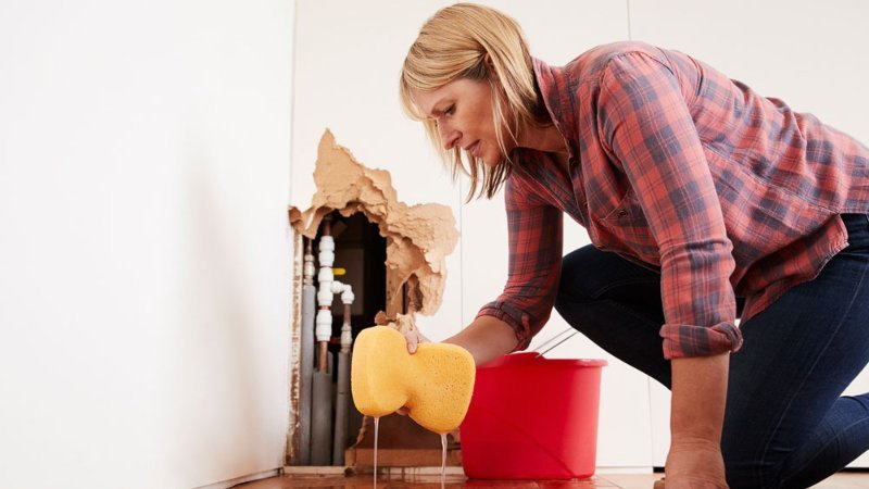 Comprehensive Guide to Water Damage Cleanup and Prevention in Homes