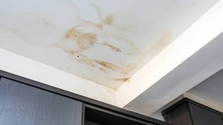 Bathroom Leakage Repair