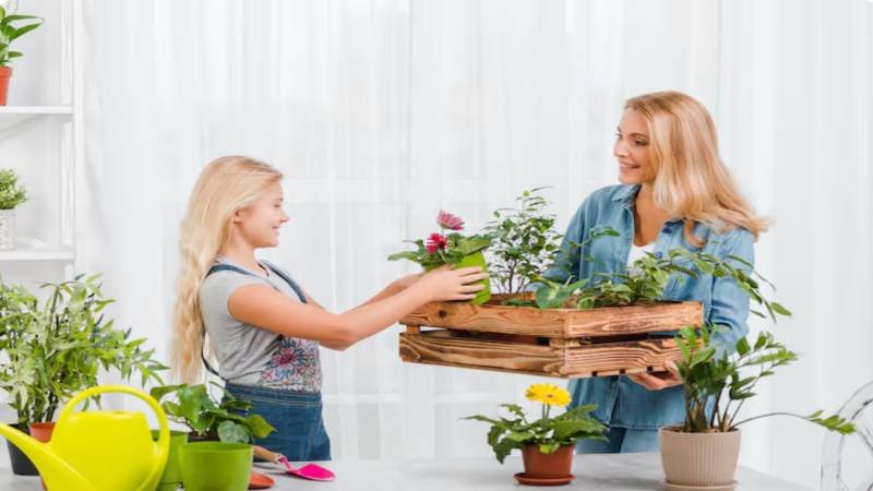 Easy Home and Garden Decorating Projects to Try as a Family