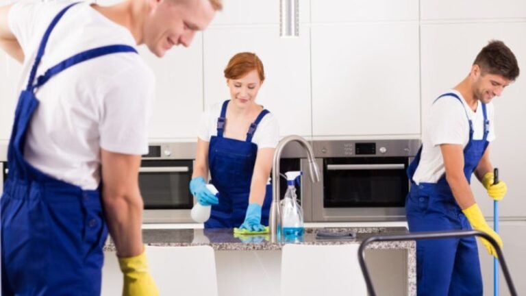 Questions to Ask a Cleaning Company