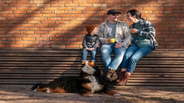 Working Line German Shepherds: What Families Should Know Before Bringing One Home